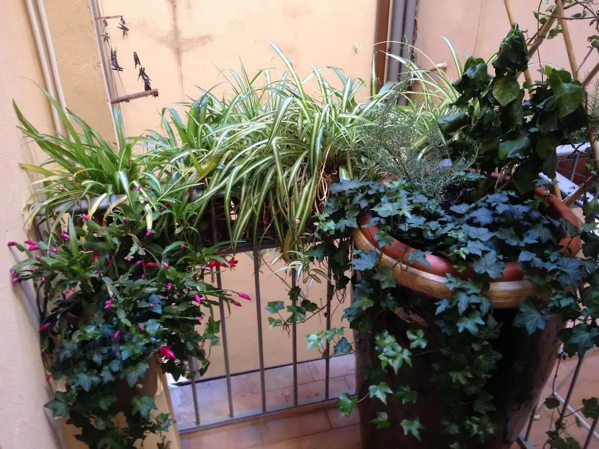 Lejlighed Oasis In The Heart Of Firenze